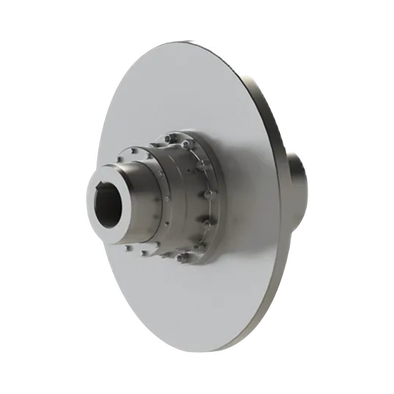 GAP Trommelgetriebekupplung mit Bremsscheibe (Q/YG 12008X-2018)